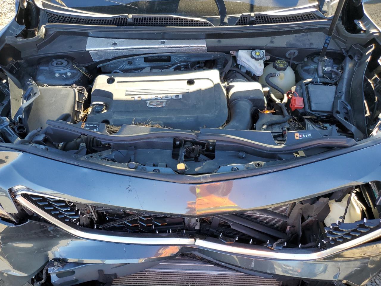 2020 Cadillac XT4 VIN 1GYFZFR43LF023647 Copart auction photo, front end / rear end damage thumbnail 13