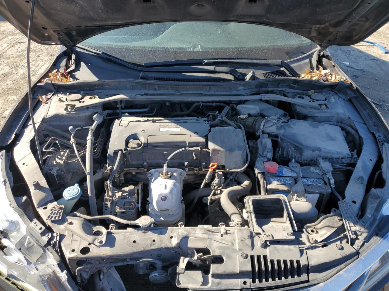 2016 Honda Accord VIN 1HGCR2F53GA113965 Copart auction photo, front end damage thumbnail 11
