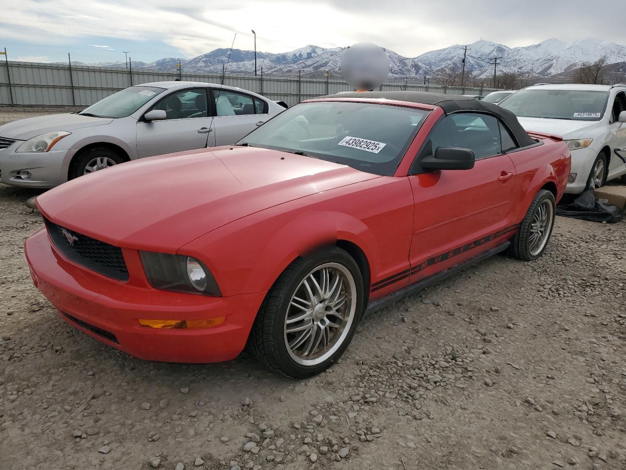 2007 Ford Mustang VIN 1ZVHT84N875339243