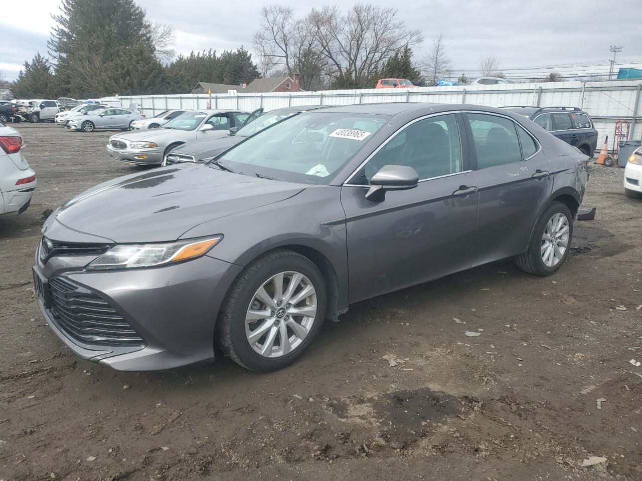 2019 Toyota Camry VIN 4T1B11HK1KU260190