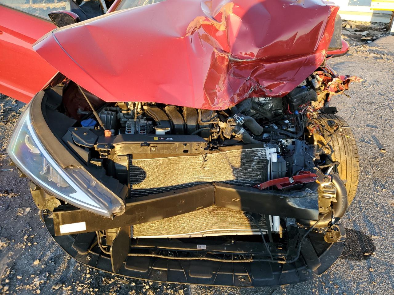 2019 Hyundai Elantra VIN 5NPD84LF1KH464101 Copart auction photo, all over damage thumbnail 12