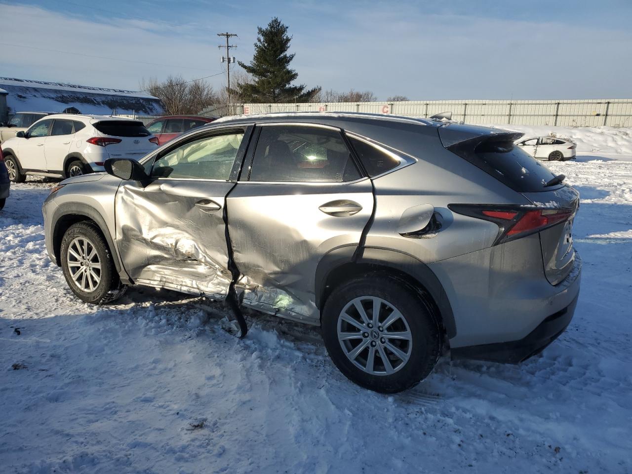 2020 Lexus NX VIN JTJDARDZ6L5003646 Copart auction photo, side / minor dent/scratches damage thumbnail 2