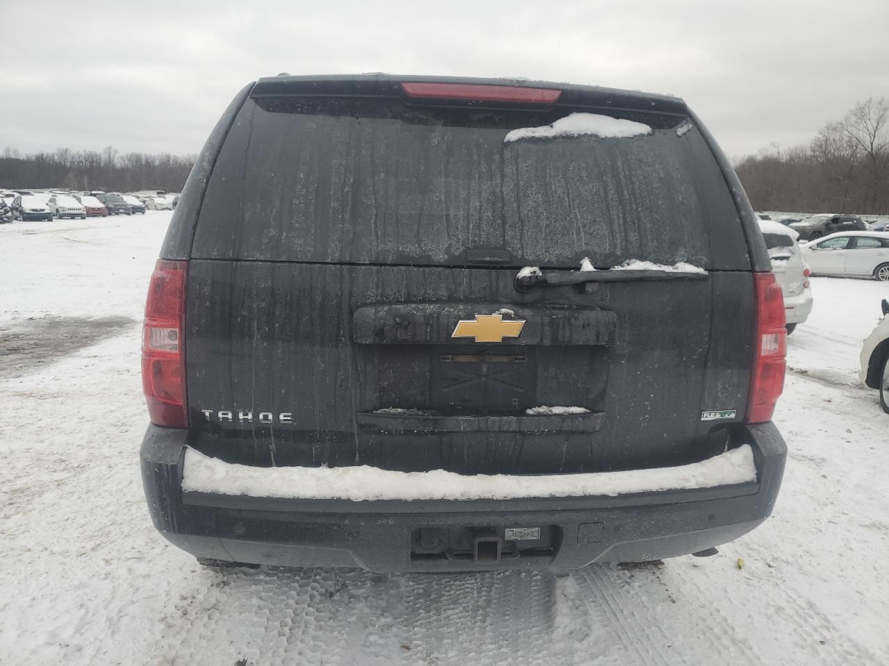 2010 Chevrolet Tahoe VIN 1GNUKBE0XAR264606 Copart auction photo, burn damage thumbnail 6