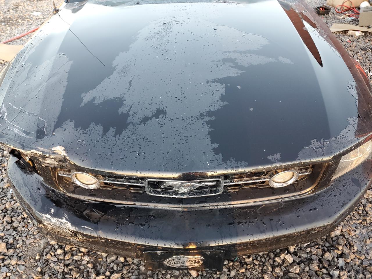 2008 Ford Mustang VIN 1ZVHT84N985180475 Copart auction photo, front end damage thumbnail 11