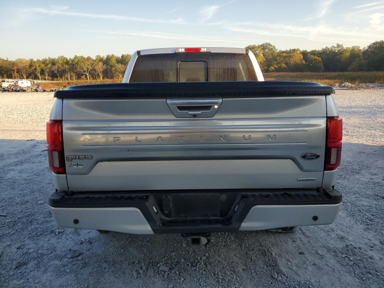 2019 Ford F-150 VIN 1FTEW1E49KFC75551 Copart auction photo, side / front end damage thumbnail 6