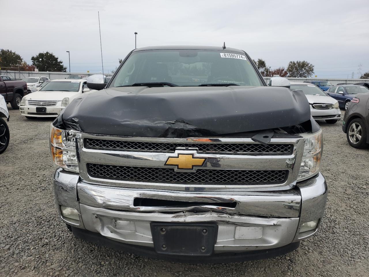 2013 Chevrolet Silverado VIN 3GCPCSE02DG304474 Copart auction photo, front end / rear end damage thumbnail 5