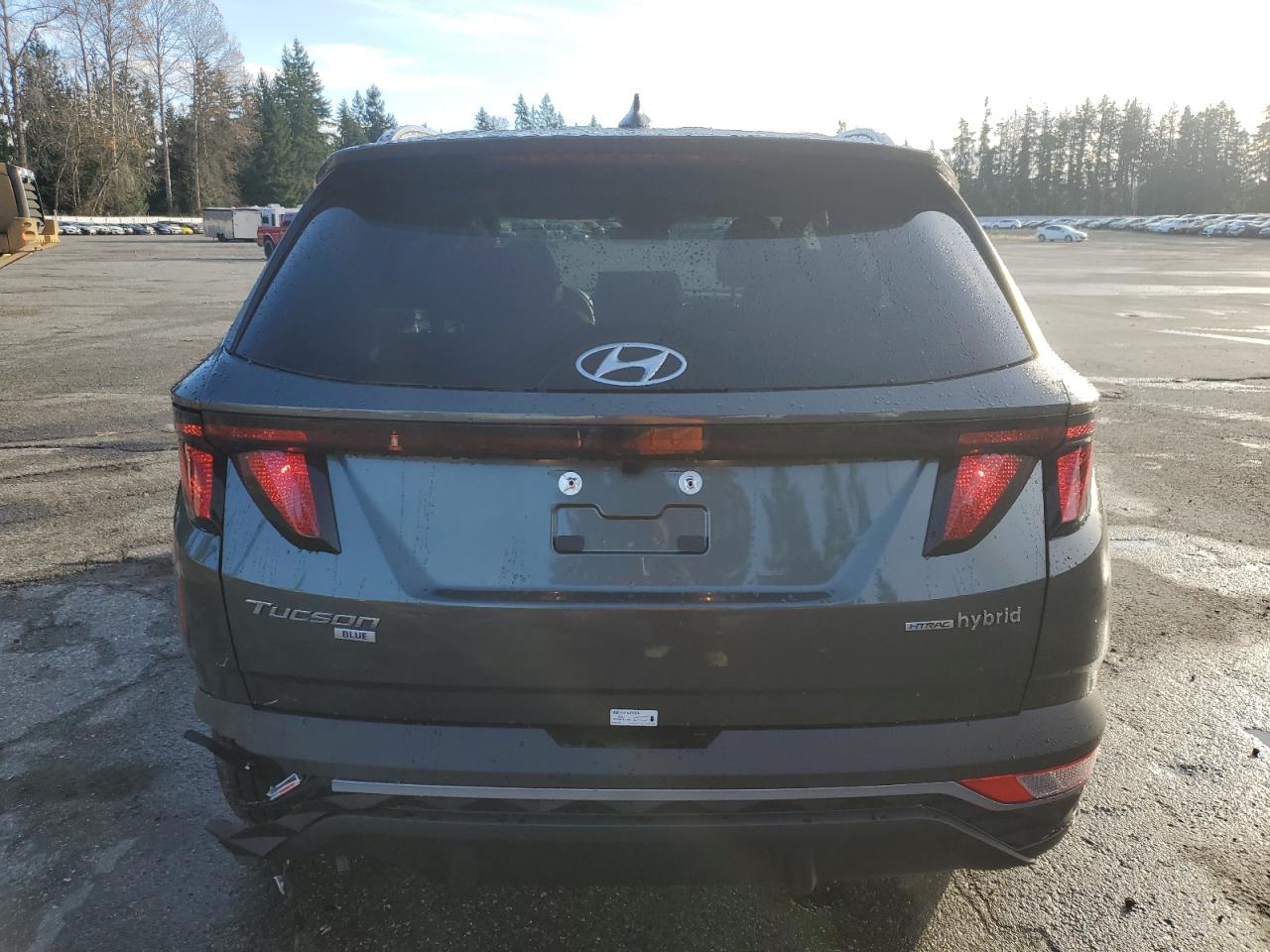 2024 Hyundai Tucson VIN KM8JBCD16RU223910 Copart auction photo, side / rear end damage thumbnail 6