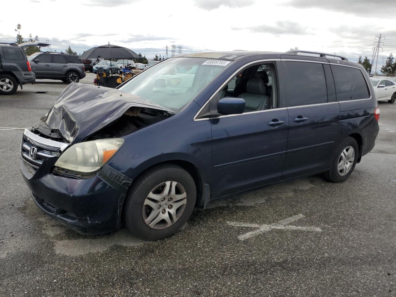 2006 Honda Odyssey VIN 5FNRL38706B012841