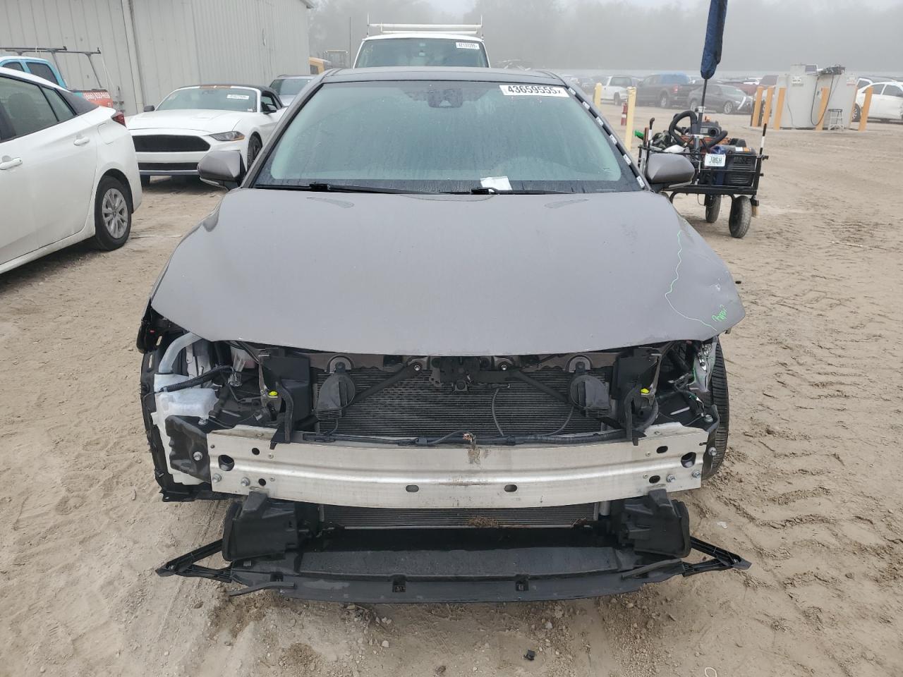 2019 Toyota Camry VIN 4T1B11HKXKU703937 Copart auction photo, front end damage thumbnail 5