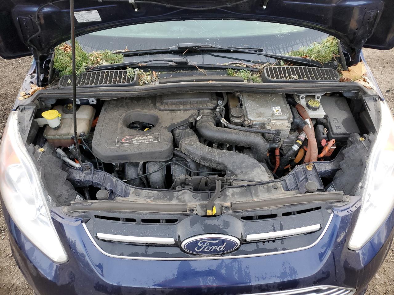 2016 Ford C-MAX VIN 1FADP5CU8GL114481 Copart auction photo, front end / top/roof damage thumbnail 12