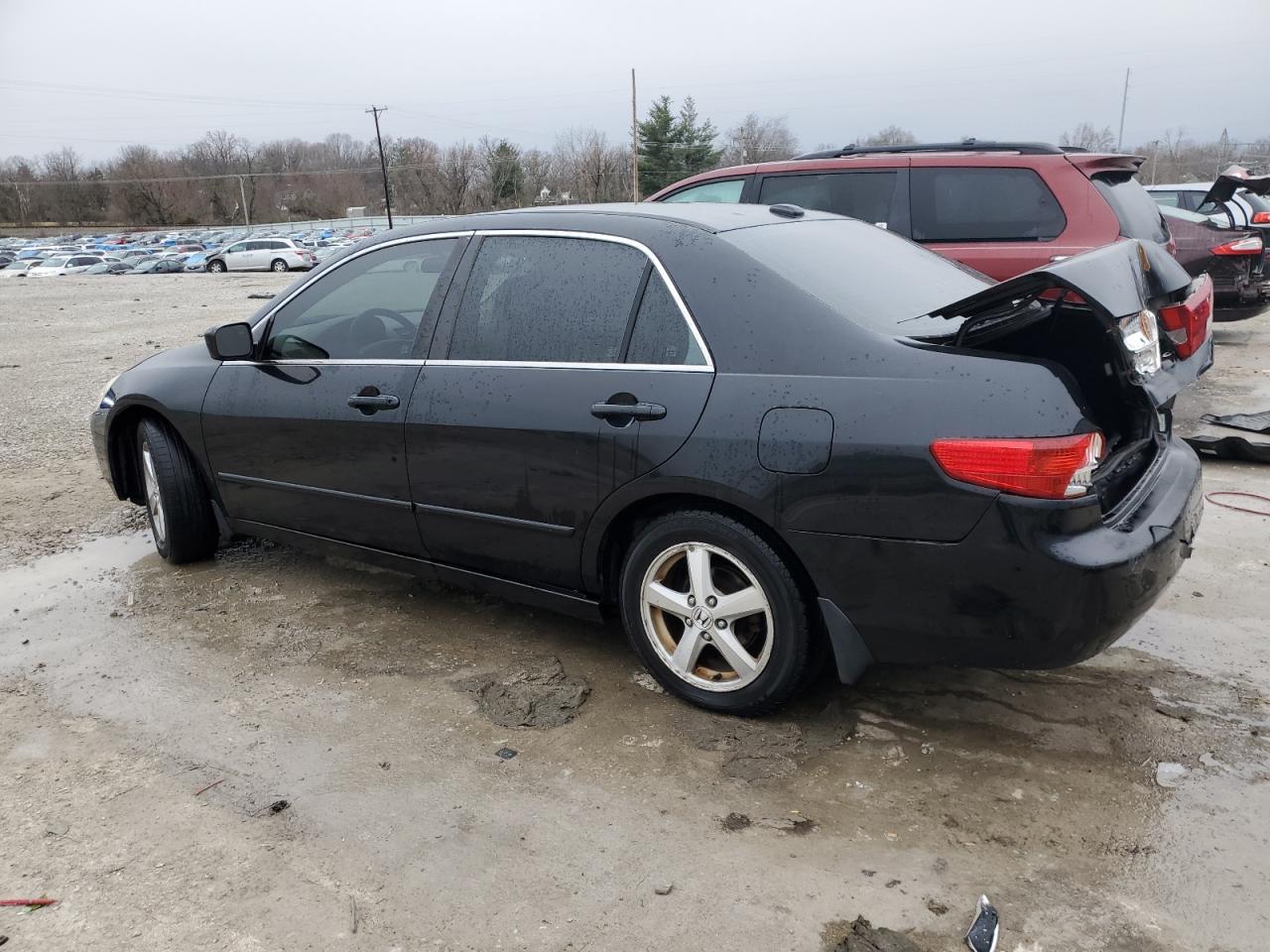 2005 Honda Accord VIN 1HGCM56805A092421 Copart auction photo, rear end damage thumbnail 2