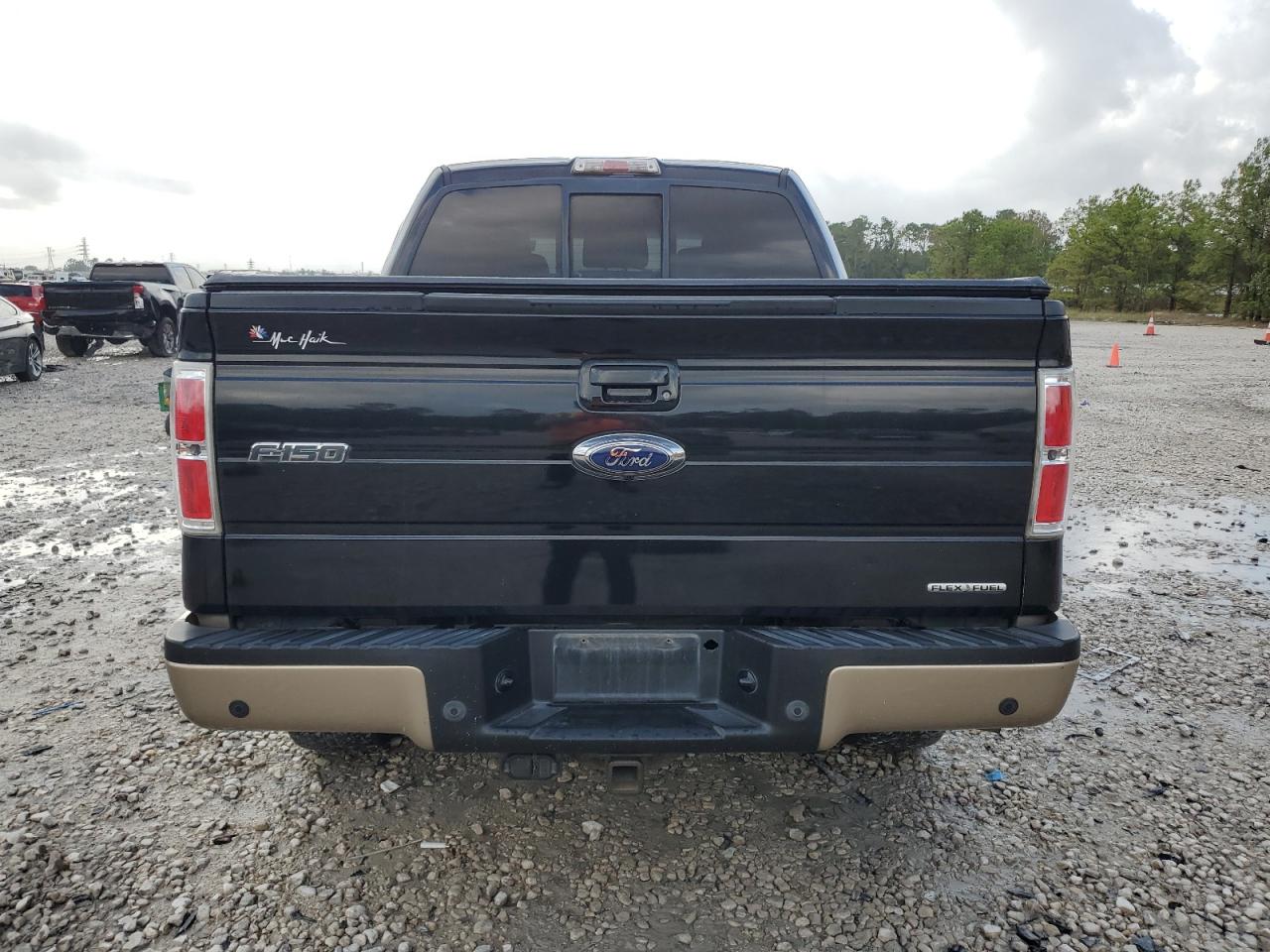 2011 Ford F-150 VIN 1FTFW1EFXBFA72206 Copart auction photo, side damage thumbnail 6
