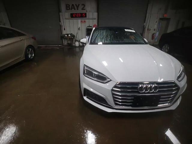 2019 Audi A5 VIN WAUTNAF54KA038591 Copart auction photo, side damage thumbnail 13
