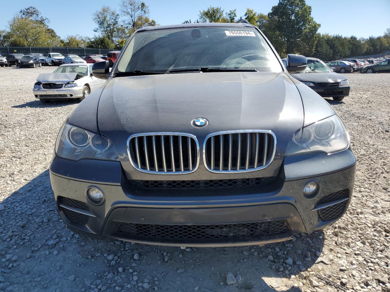 2013 BMW X5 VIN 5UXZV4C50D0B21187 Copart auction photo, rear end damage thumbnail 5