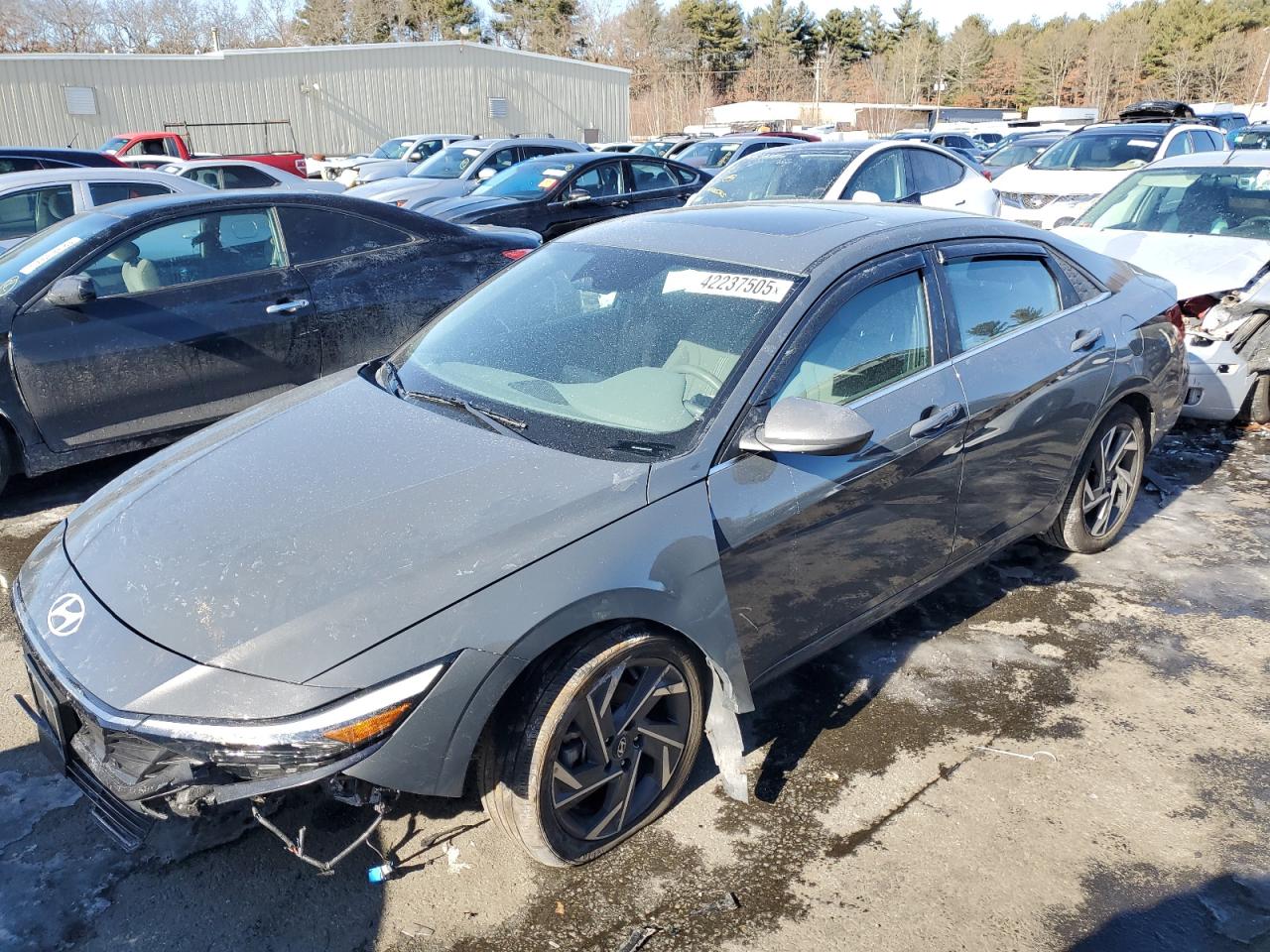 2024 Hyundai Elantra VIN KMHLS4DG7RU767304