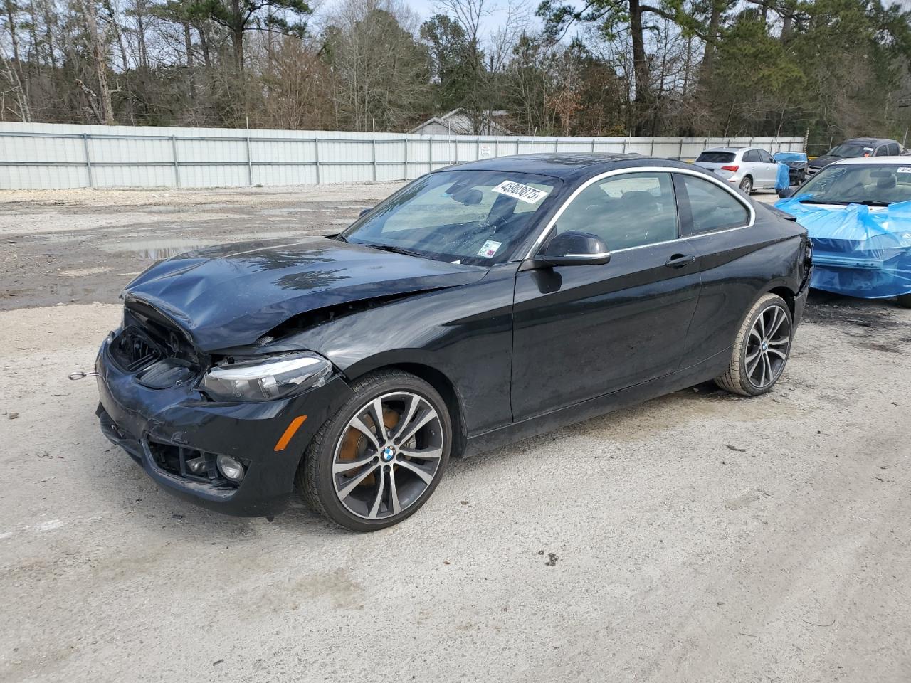 2020 BMW 2er VIN WBA2J1C06L7E53493 - Copart auction photo