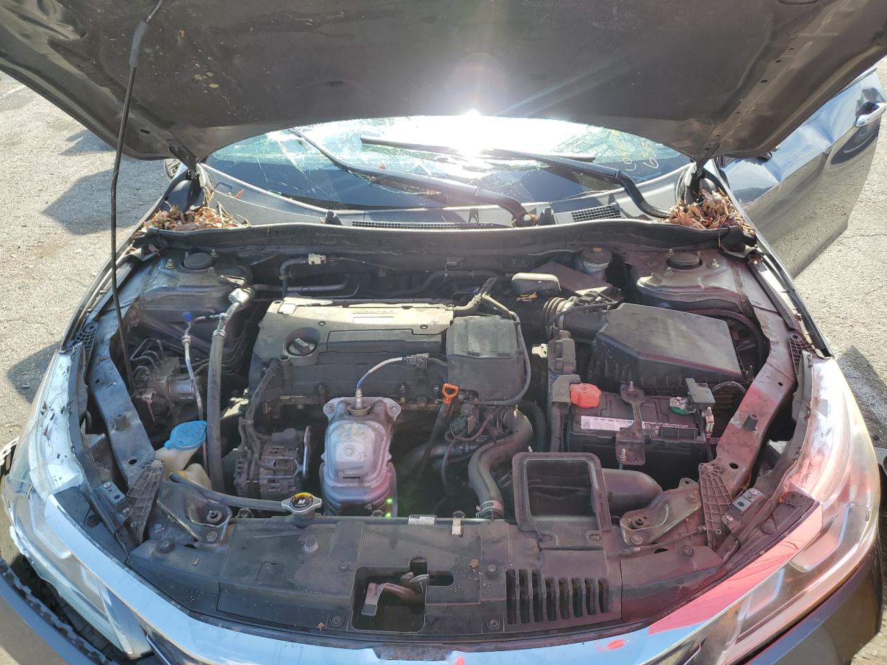 2017 Honda Accord VIN 1HGCR2F37HA191178 Copart auction photo, rollover damage thumbnail 11