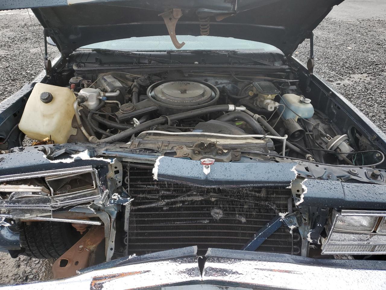 1986 Chevrolet El Camino VIN 3GCCW80Z5GS902512 Copart auction photo, front end / side damage thumbnail 11