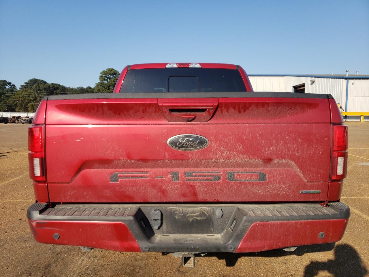 2020 Ford F-150 VIN 1FTEW1CP0LFB46595 Copart auction photo, side damage thumbnail 6
