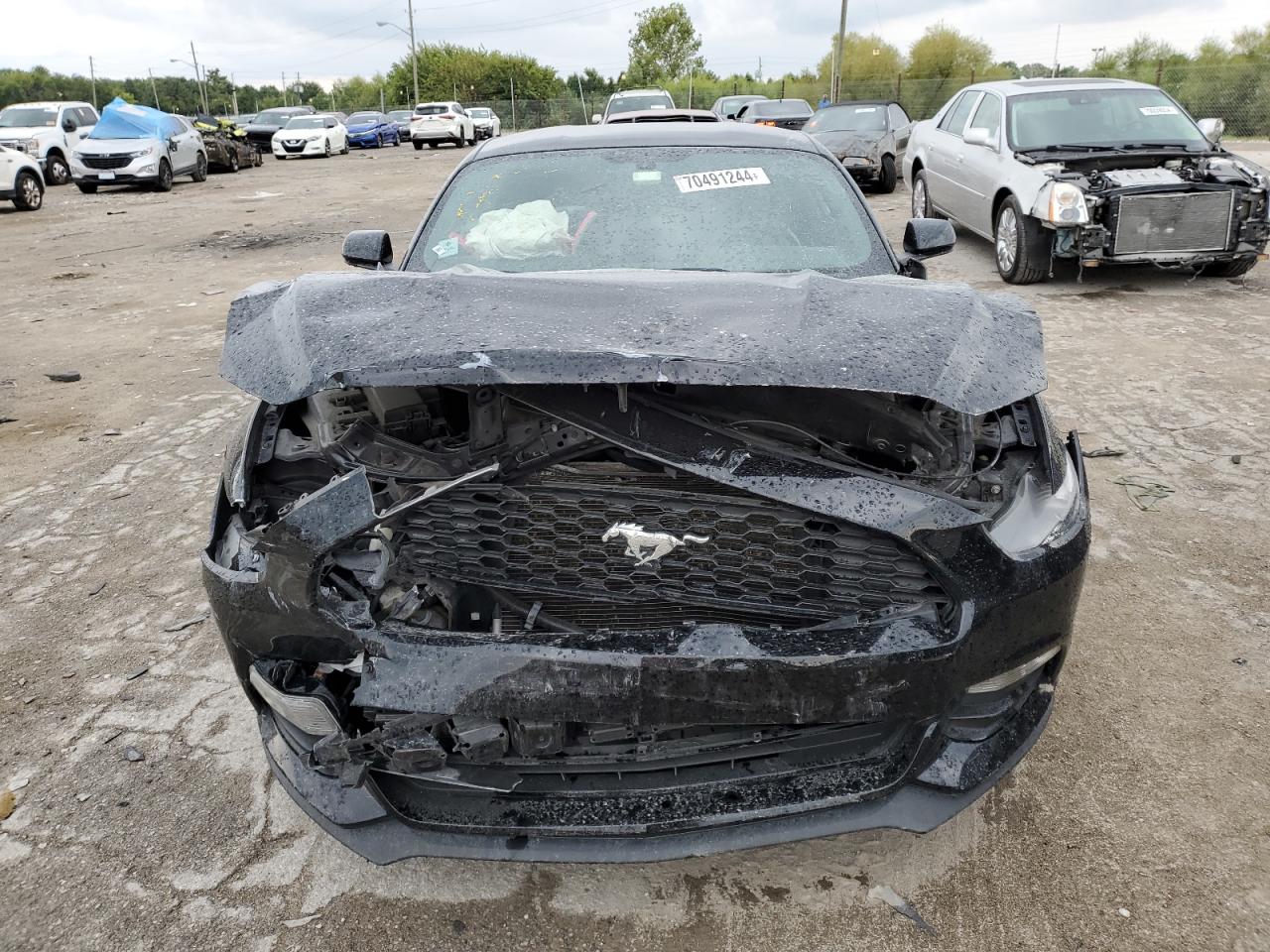 2017 Ford Mustang VIN 1FA6P8AM1H5258702 Copart auction photo, front end / rear end damage thumbnail 5