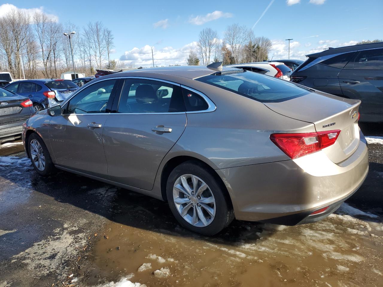 2023 Chevrolet Malibu VIN 1G1ZD5ST5PF181919 Copart auction photo, front end / side damage thumbnail 2