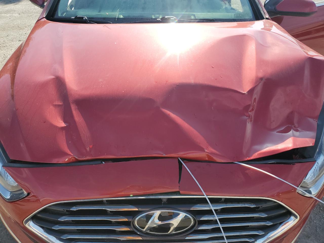 2019 Hyundai Sonata VIN 5NPE24AF1KH760745 Copart auction photo, front end / minor dent/scratches damage thumbnail 11