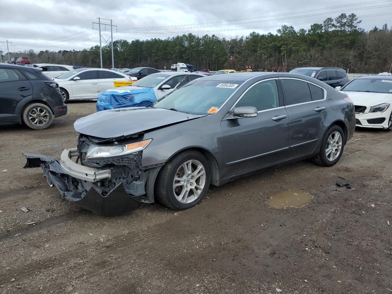 2009 Acura TL VIN 19UUA86509A012867