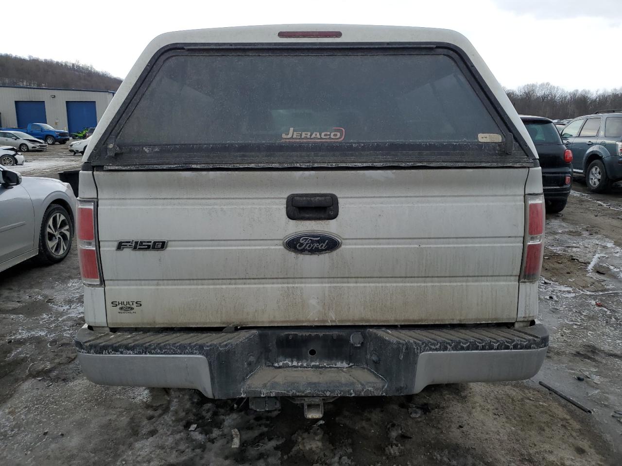 2009 Ford F-150 VIN 1FTRF12W09KB14255 Copart auction photo, side damage thumbnail 6