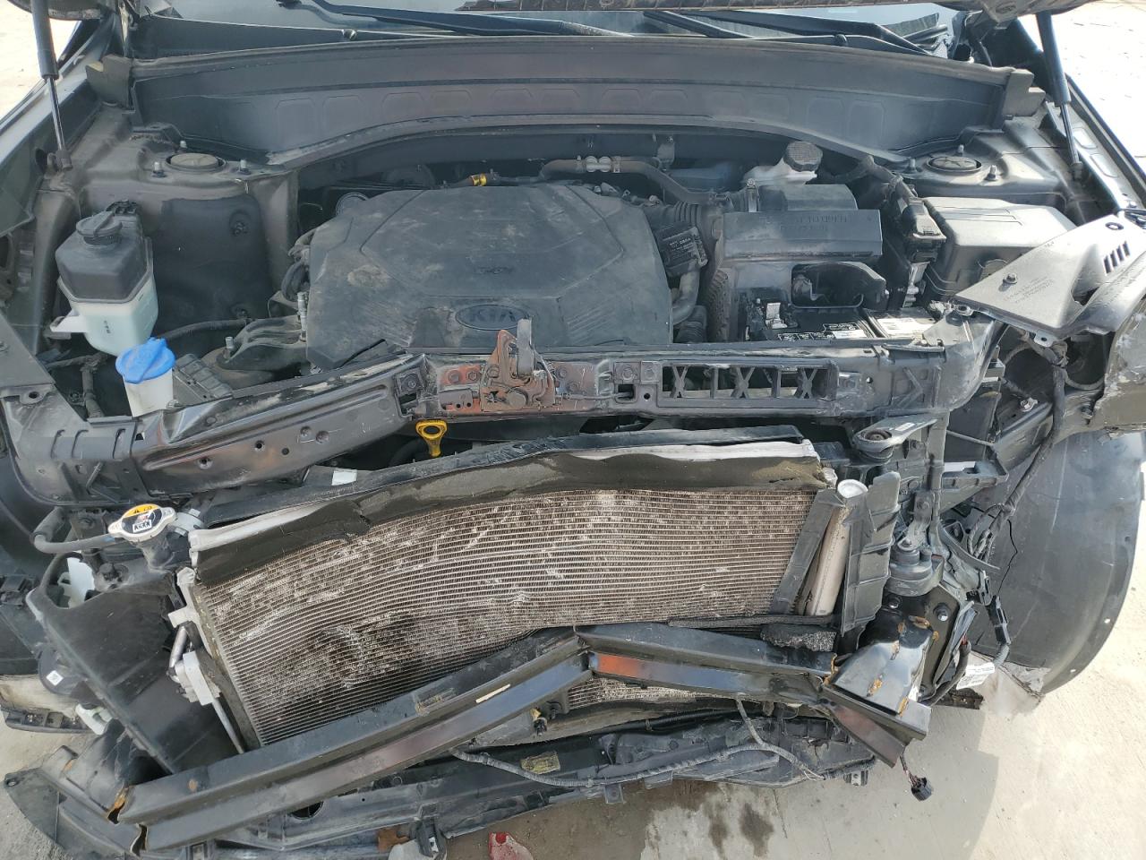 2020 KIA Telluride VIN 5XYP3DHC5LG043100 Copart auction photo, front end damage thumbnail 12