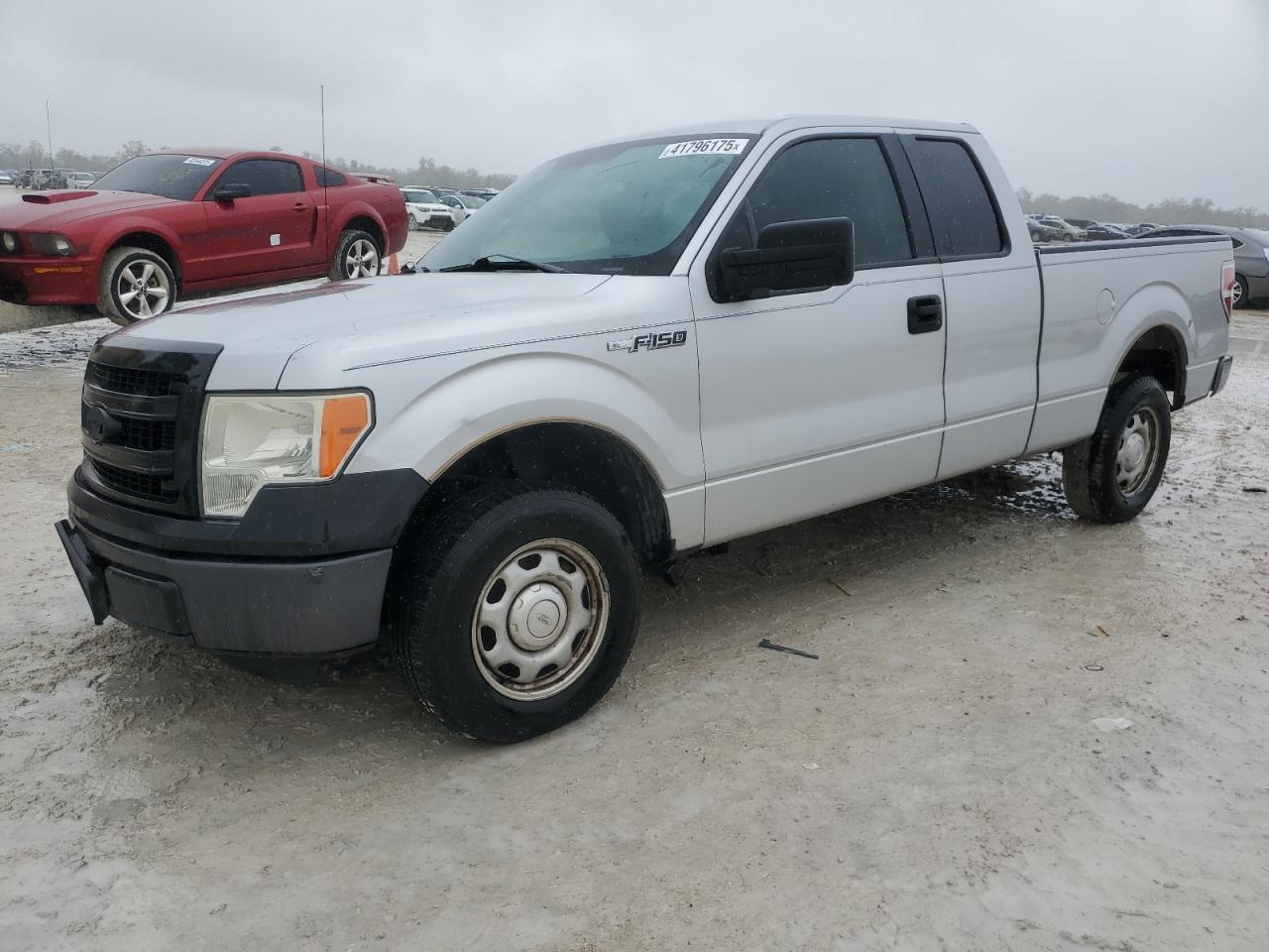 2013 Ford F-150 VIN 1FTEX1CM9DKG19521