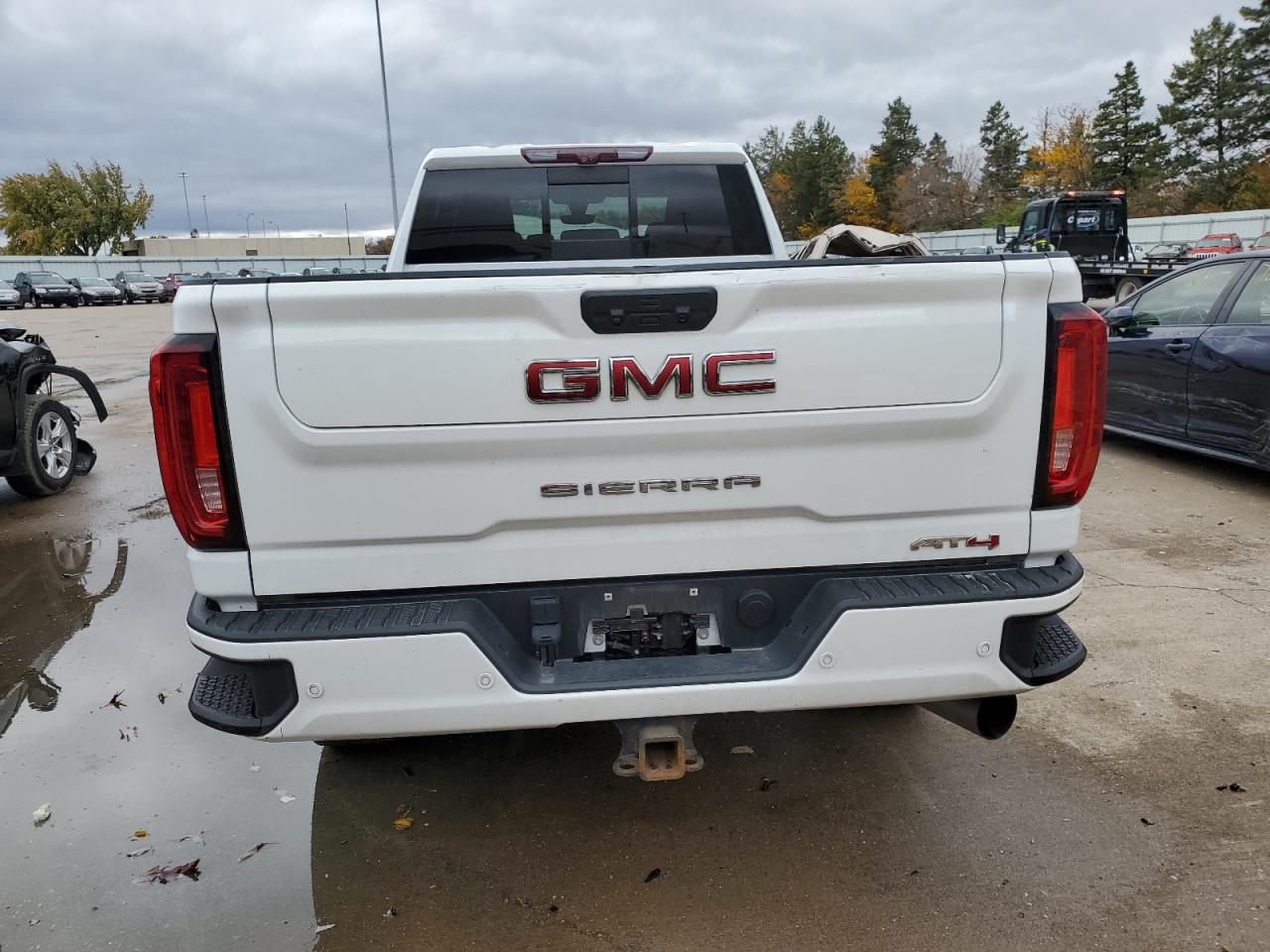 2020 GMC Sierra VIN 1GT49VEY5LF339079 Copart auction photo, front end / minor dent/scratches damage thumbnail 6