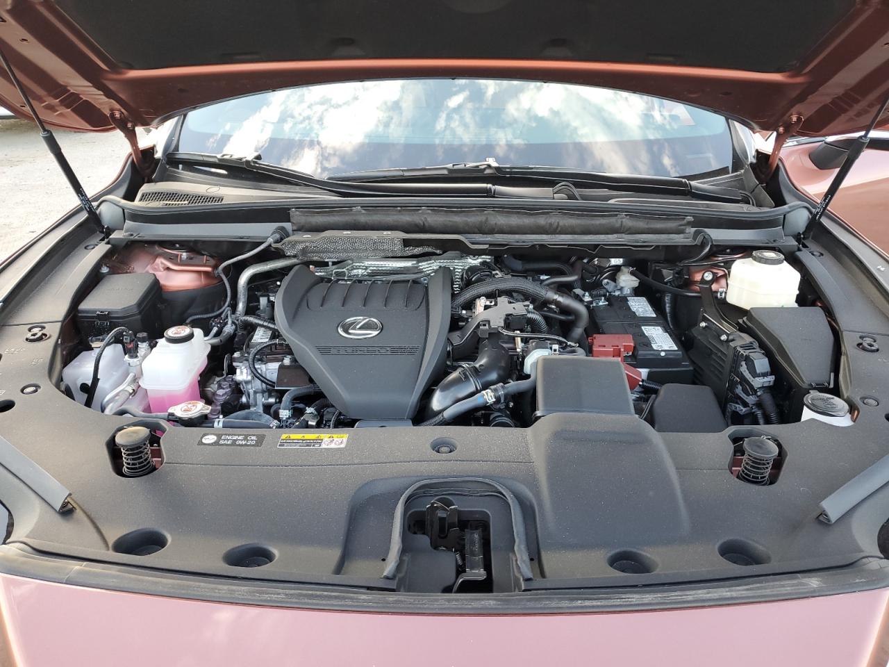 2024 Lexus RX VIN 2T2BAMBAXRC041222 Copart auction photo, side damage thumbnail 13