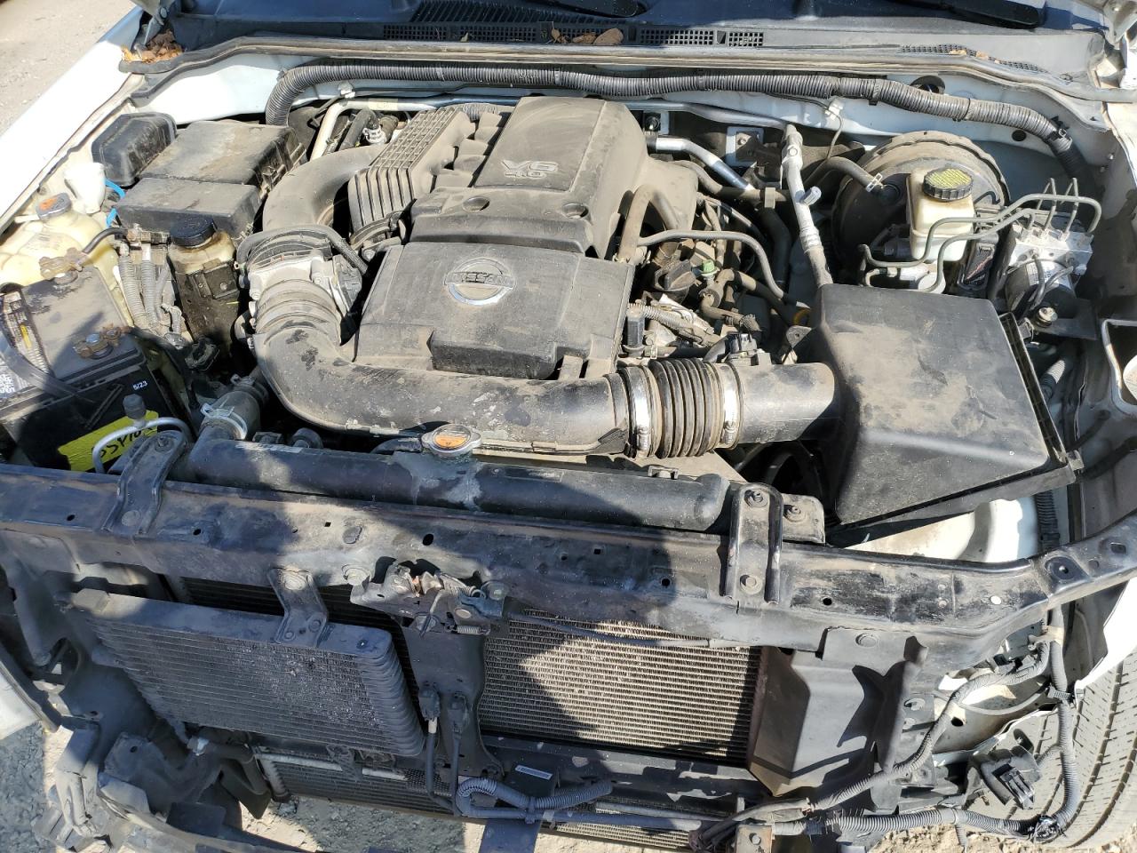 2015 Nissan Navara (Frontier) VIN 1N6AD0FR2FN711559 Copart auction photo, front end / minor dent/scratches damage thumbnail 11