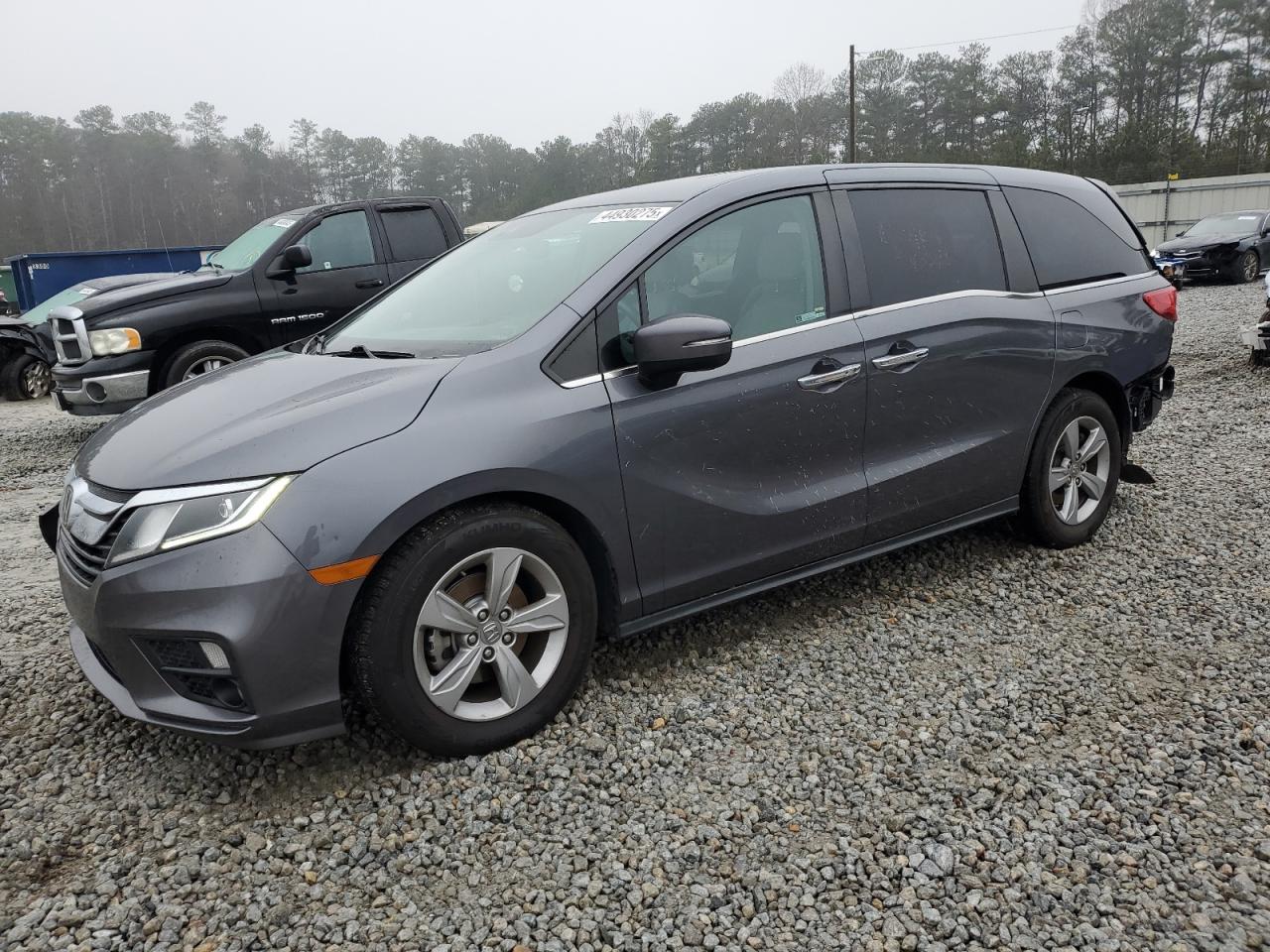 2019 Honda Odyssey VIN 5FNRL6H70KB089351