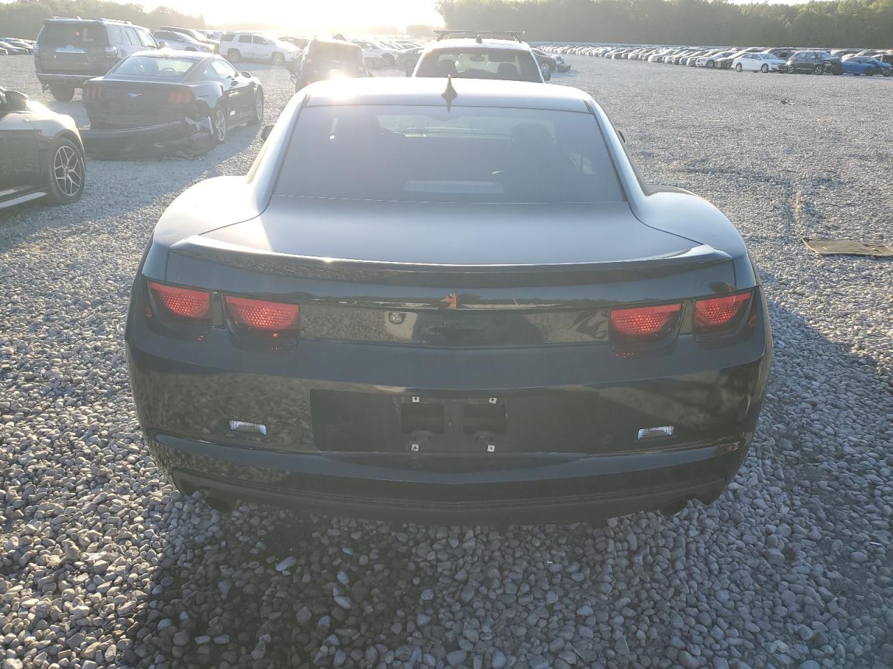 2011 Chevrolet Camaro VIN 2G1FC1EDXB9110977 Copart auction photo, side damage thumbnail 6