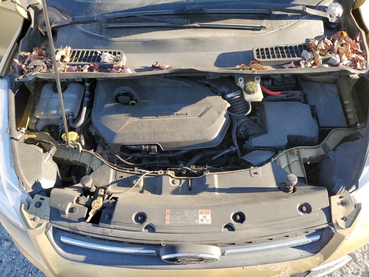 2014 Ford Escape VIN 1FMCU0GX7EUC61075 Copart auction photo, all over damage thumbnail 13