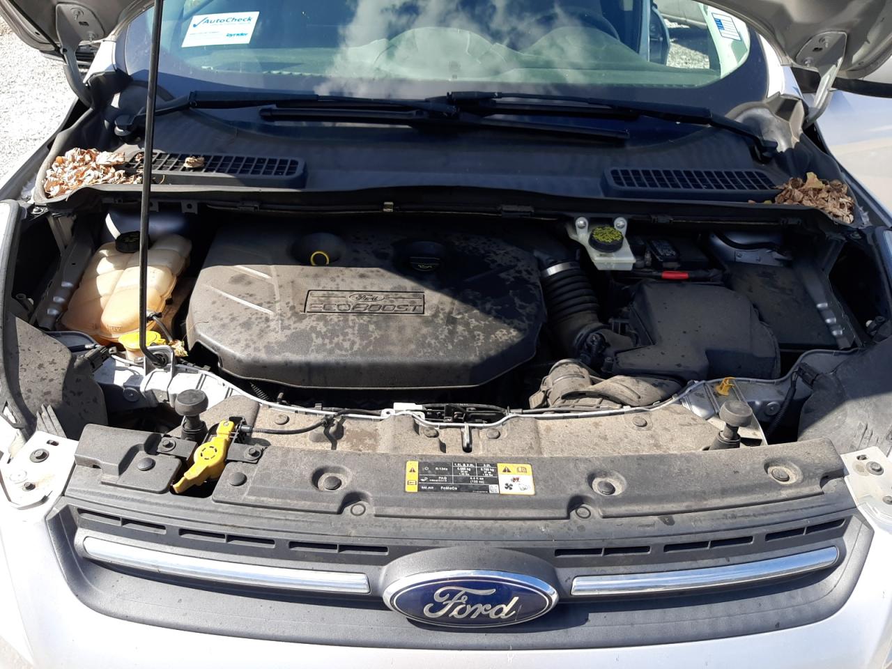 2014 Ford Escape VIN 1FMCU9G93EUA53748 Copart auction photo, rear end / minor dent/scratches damage thumbnail 12