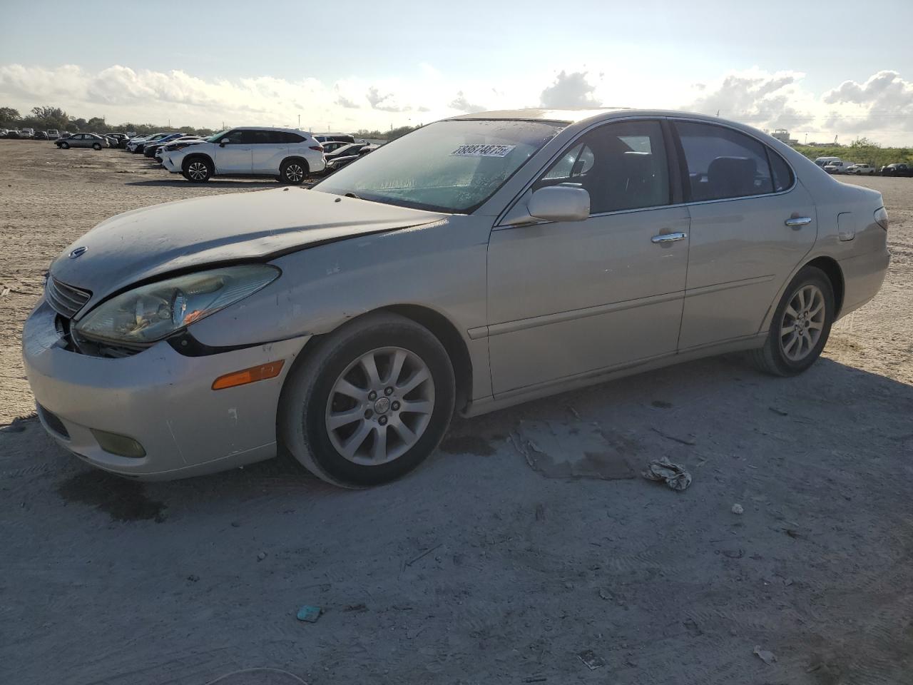 2004 Lexus ES VIN JTHBA30G940006176