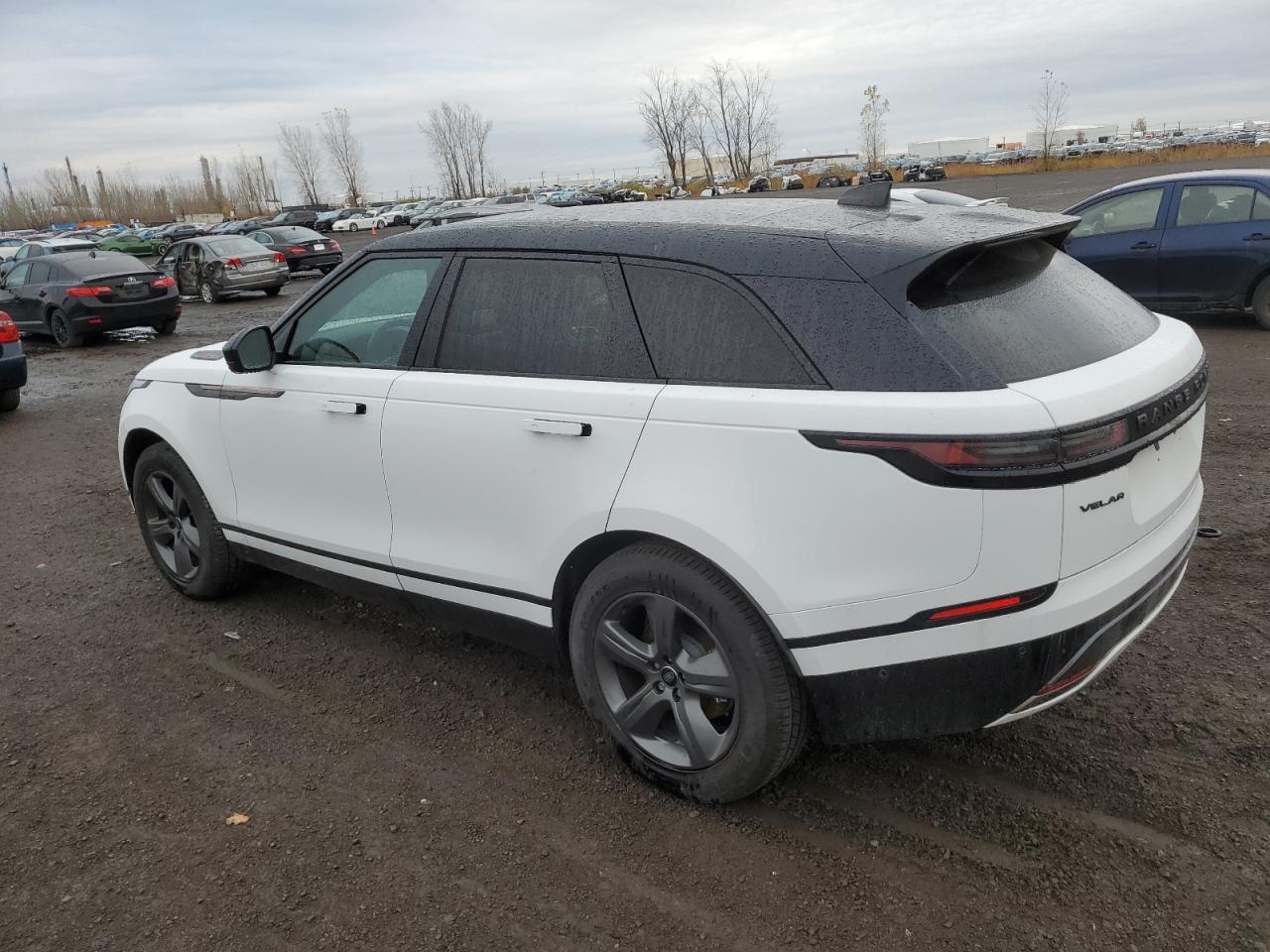 2024 Land Rover Range Rover VIN SALYL2EX5RA389486 Copart auction photo, side damage thumbnail 2