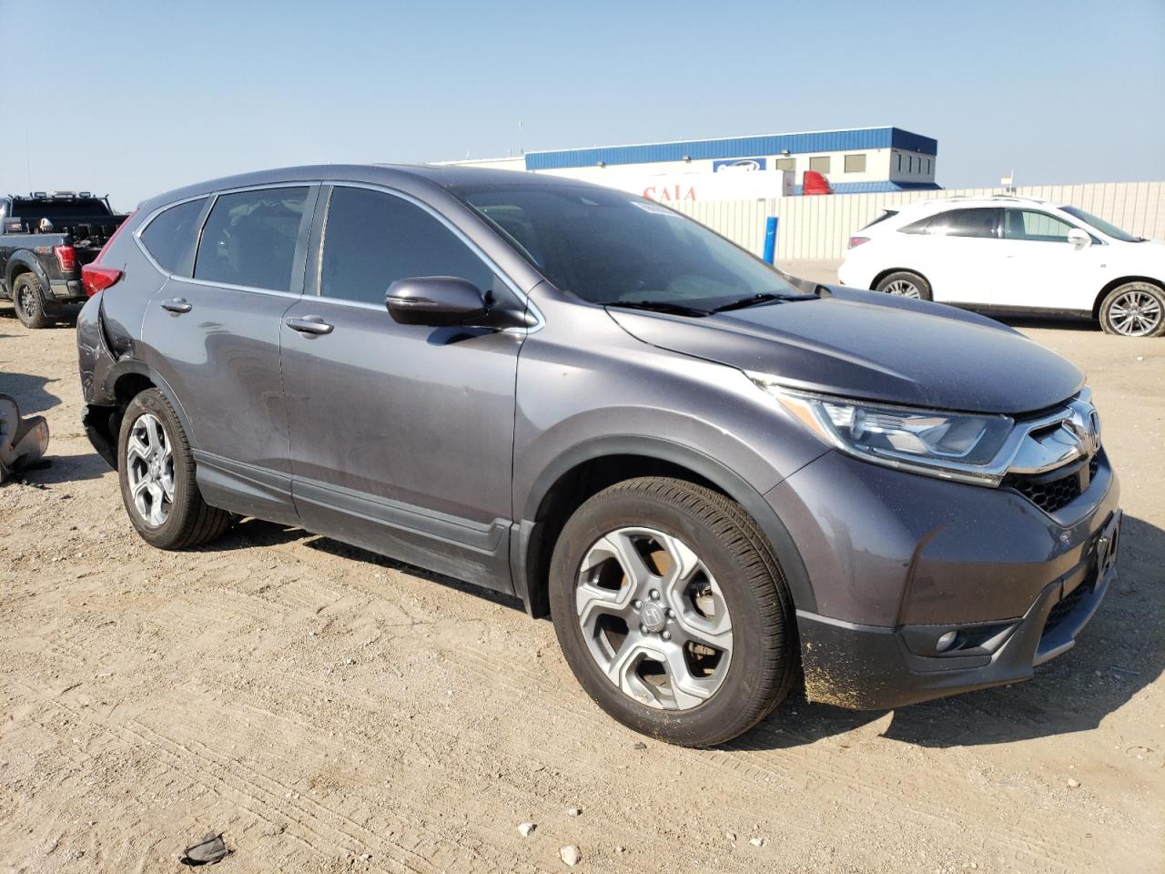 2019 Honda CR-V VIN 5J6RW2H53KA013849 Copart auction photo, rear end / hail damage thumbnail 4
