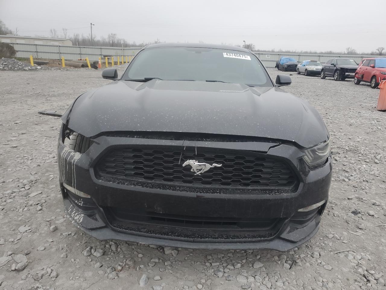 2016 Ford Mustang VIN 1FA6P8AM4G5294592 Copart auction photo, front end / side damage thumbnail 5