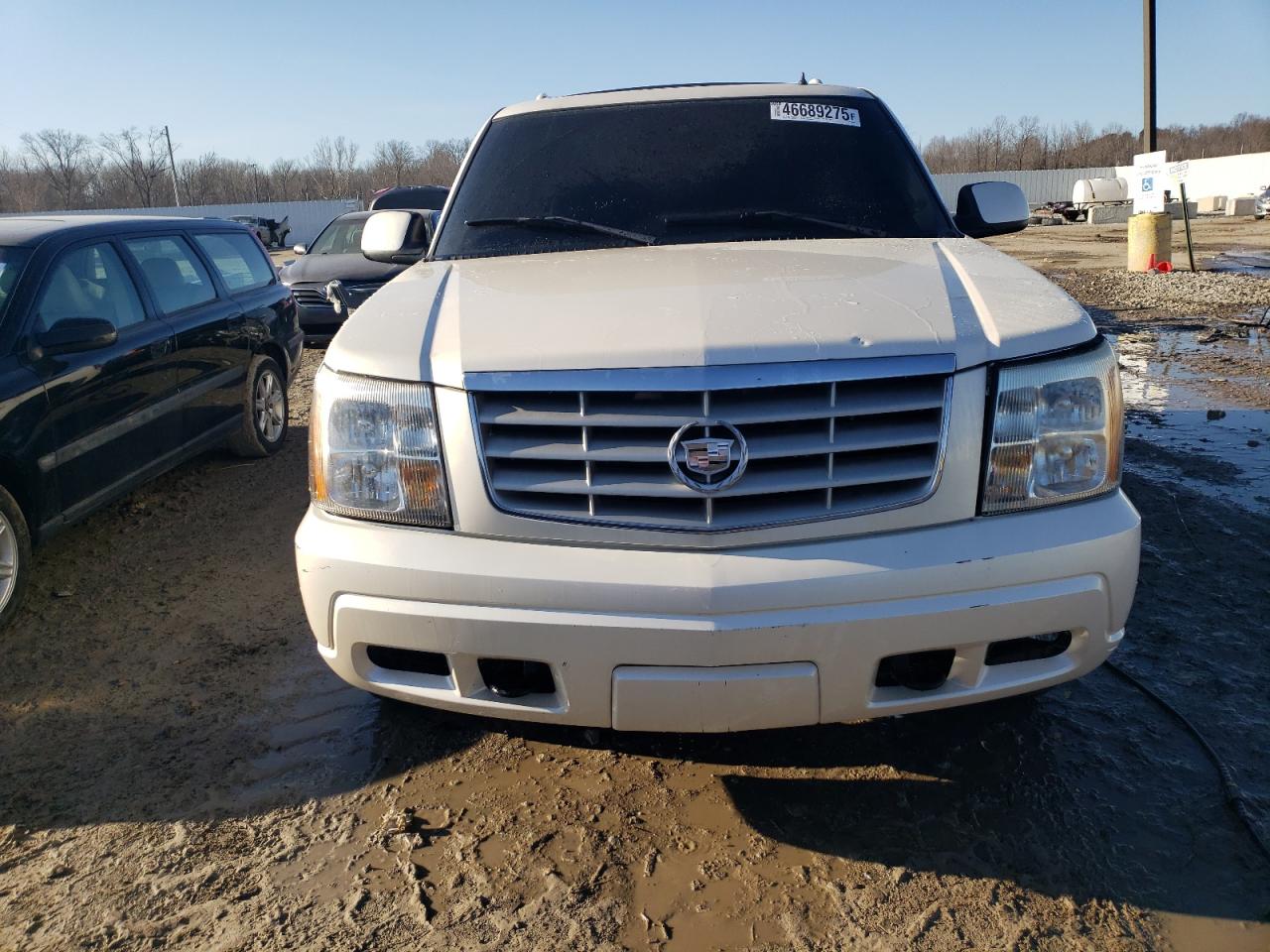 2002 Cadillac Escalade VIN 1GYEK63N22R164692 Copart auction photo, side damage thumbnail 5