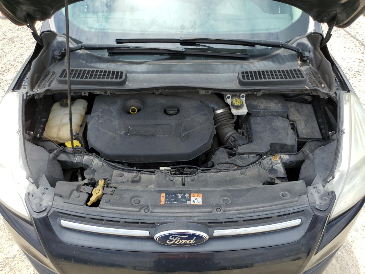 2016 Ford Escape VIN 1FMCU0G96GUA28244 Copart auction photo, rear end / minor dent/scratches damage thumbnail 12
