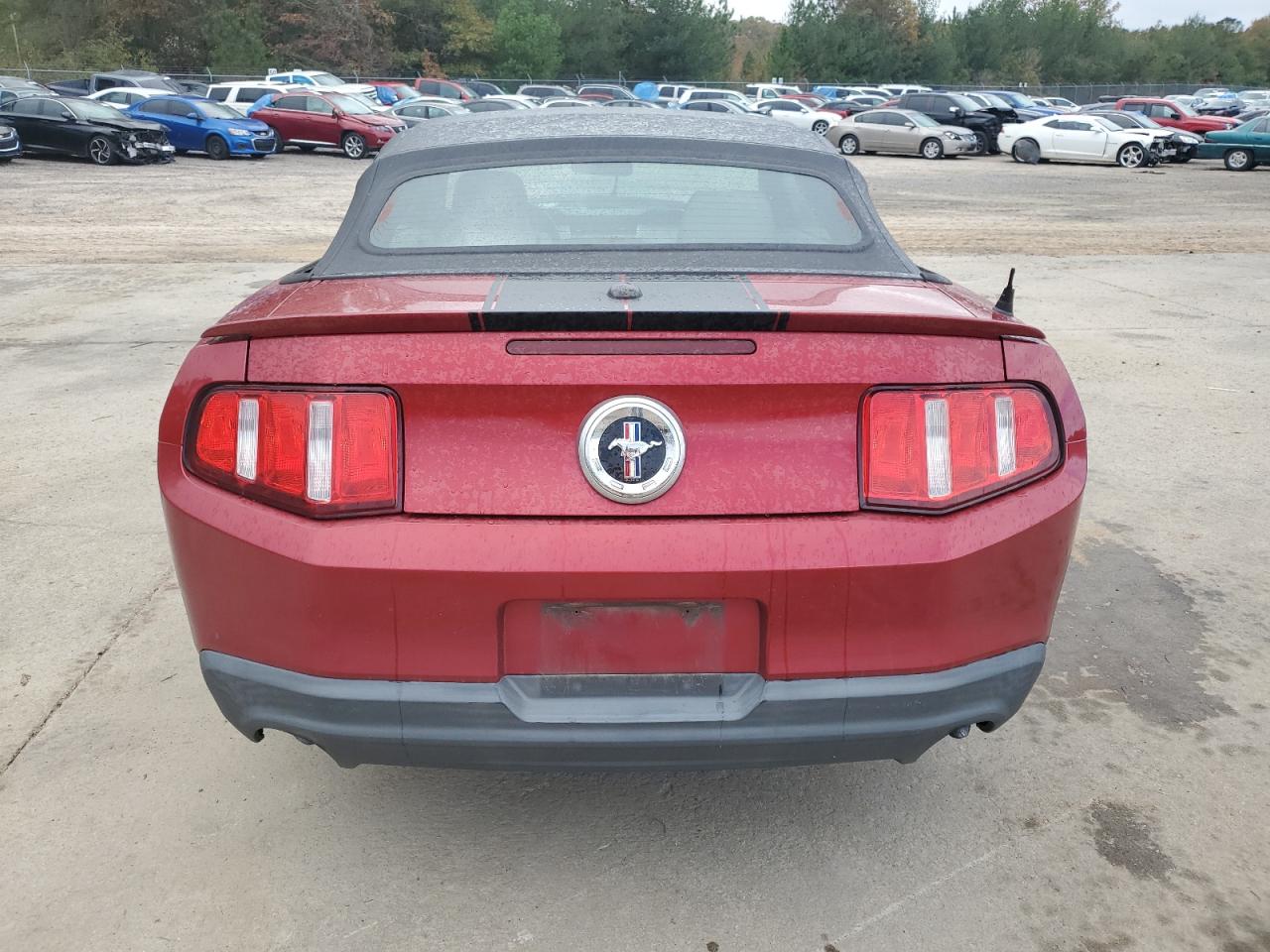 2011 Ford Mustang VIN 1ZVBP8EM8B5126401 Copart auction photo, front end damage thumbnail 6