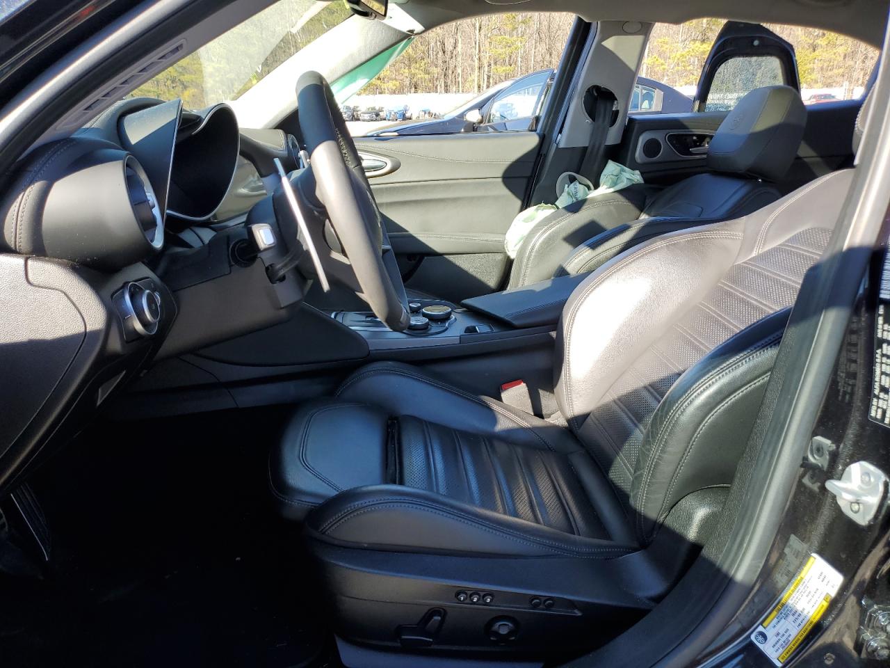 2019 Alfa Romeo Giulia VIN ZARFAMBN8K7611823 Copart auction photo, side / minor dent/scratches damage thumbnail 7