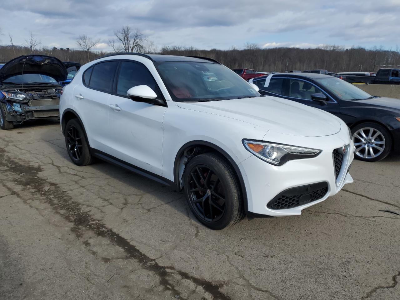 2019 Alfa Romeo Stelvio VIN ZASPAKBN6K7C31762 Copart auction photo, all over damage thumbnail 4
