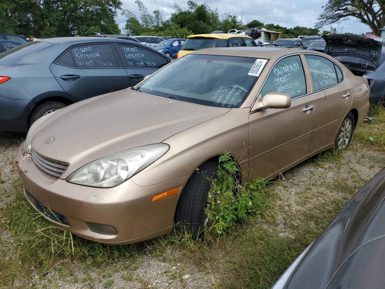 2004 Lexus ES VIN JTHBA30G245040222