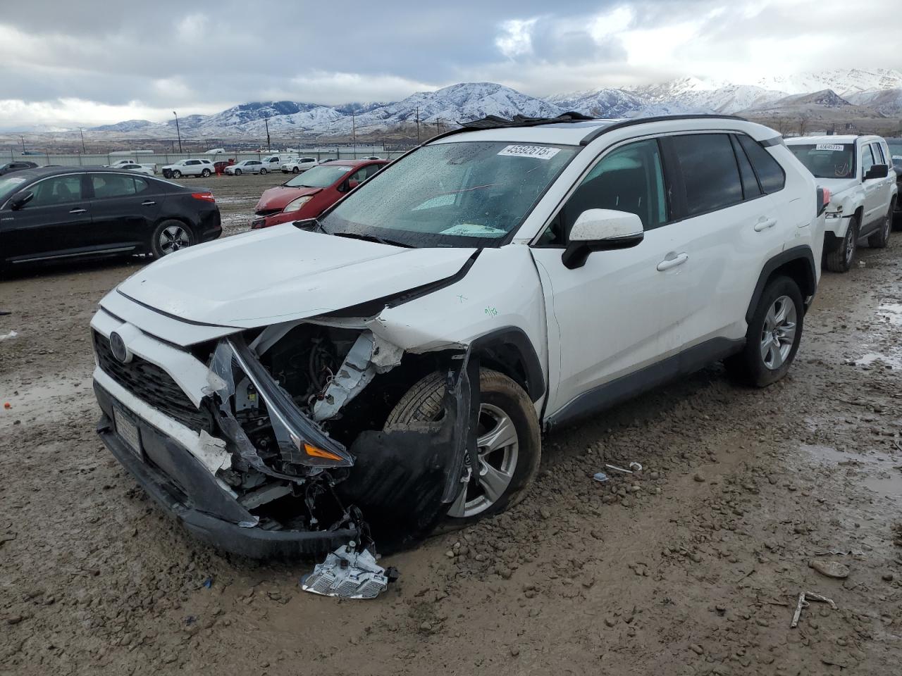 2019 Toyota RAV 4 VIN 2T3P1RFV4KW028787