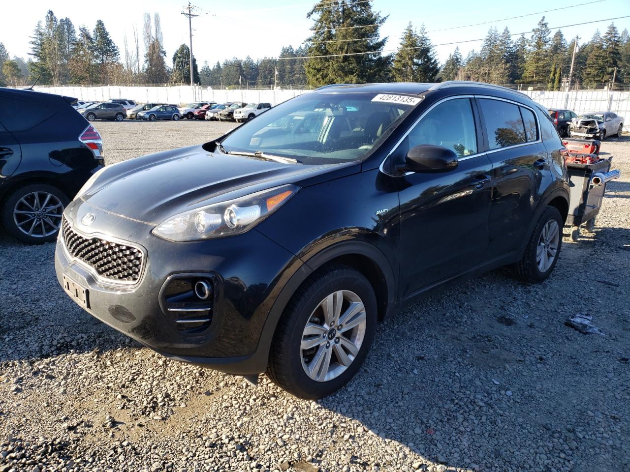 2017 KIA Sportage VIN KNDPMCAC7H7108194