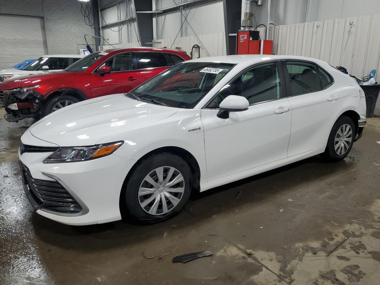 2021 Toyota Camry VIN 4T1C31AK3MU569610